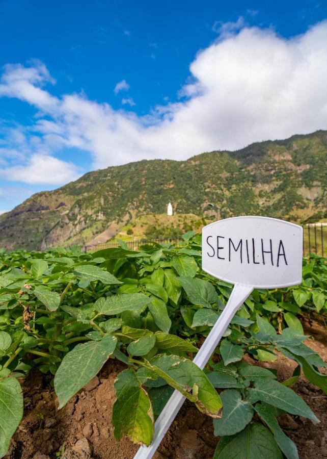 Quinta Vale Vitis Βίλα São Vicente Εξωτερικό φωτογραφία